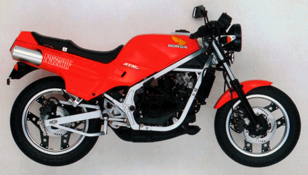 NS250F in Streetbike form