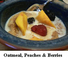 one pot recipes for camping - Oatmeal and berries