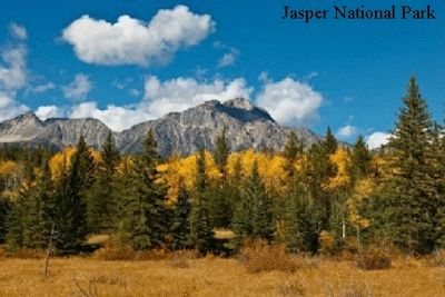 A Tour to Remember - Jasper National Park Alberta Canada