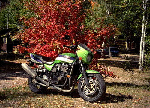 Kawasaki ZRX 1100, basking in the autumn sunlight